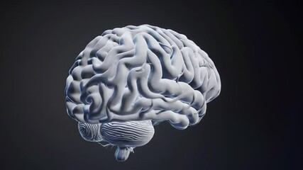 Poster - Anatomical Model of a Brain Detailed 3D Render Illuminated with Subtle Light on Dark Gray Background For Medical Study