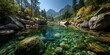 © horizon - Split-level photograph of a clear mountain stream, capturing a sunny pine forest landscape above and a vibrant underwater world with moss-covered cobblestones and rising air bubbles below.