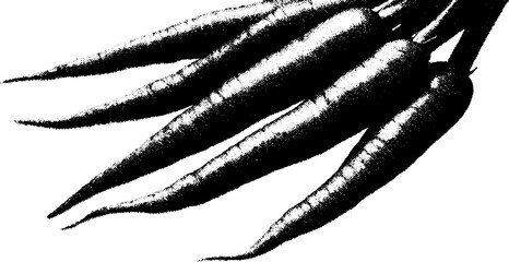 Aufkleber - Black and white abstract carrot bunch design for artistic prints and cards