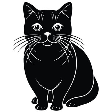 british shorther cat vector