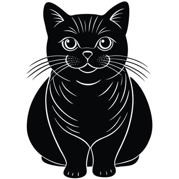 british shorther cat vector