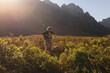 © Wavebreak Media - Female hiker standing on rock outcrop in grassland at mountain base watching light-coated dog