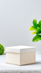 Poster - Blank Kraft Paper Box on Linen Surface with Soft Lighting