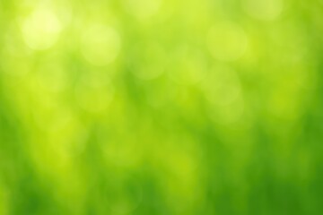 Poster - Abstract green nature with soft bokeh and a blurred backdrop