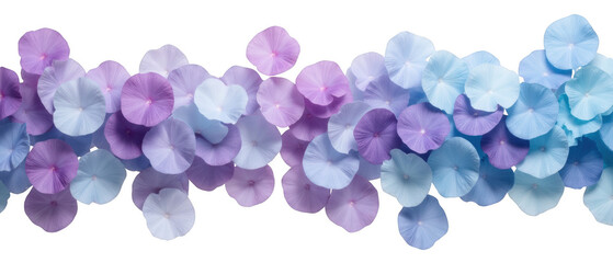Poster - Colorful flower petals in shades of purple and blue create vibrant and serene background. delicate arrangement evokes sense of calm and beauty