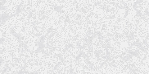 Poster - contour wavey out line style topo map seamless concept topographic decorative georaphic line surface white light topographic design. 