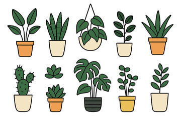 Poster - Various indoor plants in colorful pots showcasing diverse shapes and sizes for home decoration and gardening inspiration