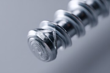 Poster - Close-up view of a metal screw displaying intricate details of its threads and head against a plain background