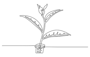Poster - continuous line drawing art leaf  of leaves isolated on transparent background. Vector illustration