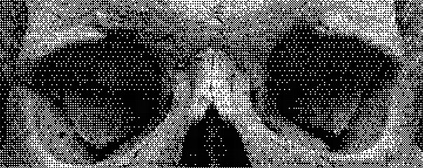 Aufkleber - Exploring the intricate art of ASCII representation with a focus on a stylized skull design