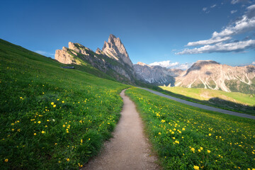 Wall Mural - path with vibrant wildflowers in seceda mountain at sunset in summer. dolomites, italy. colorful lan