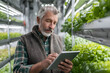 © utaem2022 - Farmer using tablet in vertical farm, monitoring and managing crop growth with technology