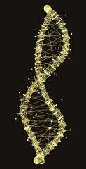 Poster - Golden DNA double helix structure wireframe with connecting nodes and low poly style on black background, scientific molecular genetic concept vector illustration