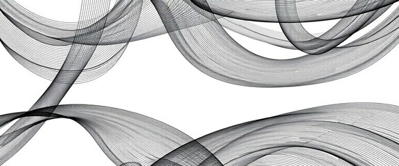 Wall Mural - abstract black vector lines forming geometric patterns on white background, minimalist, style