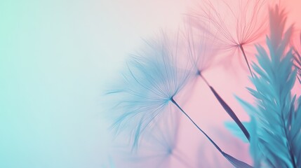 Poster - Abstract dandelion seeds, soft pastel colors, delicate botanical