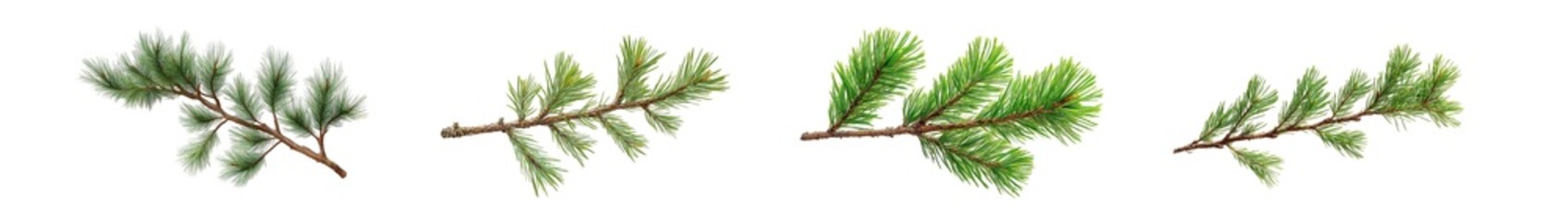Fototapete - set of different shades of green sprigs of plant life isolated on transparent background