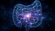 © Oat_Photo - Luminous Human Intestine Anatomy  Glowing Digestive System  Medical Illustration