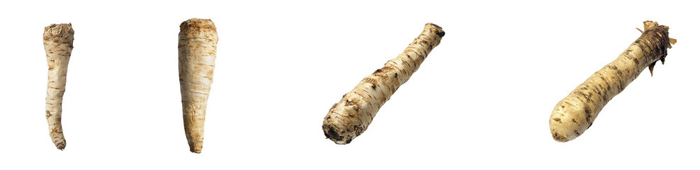 Poster - set of Close-up view of several fresh parsnips. isolated on transparent background