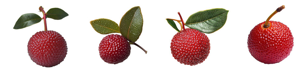 Poster - Close-up view of four red fruits with leaves. isolated on transparent background