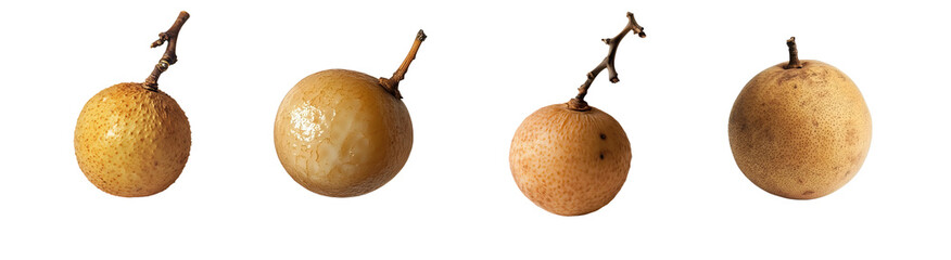 Poster - set of isolated, round, light brown fruits with stems. isolated on transparent background