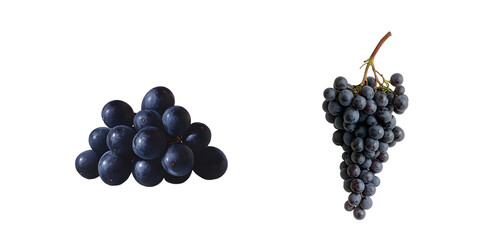 Poster - bunches of dark grapes displayed against a white background.
