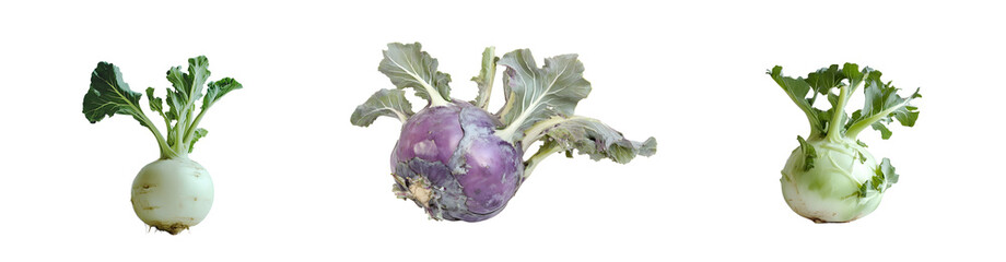 Poster - kohlrabi vegetables with different colors. isolated on transparent background