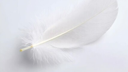 Poster - Close-up view of white feather on clean surface, soft lighting creating a minimalist, delicate, and airy composition.