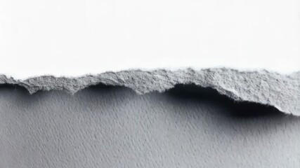Poster - Fragmented white paper sheet exhibiting torn edge detail and gray underlay for texture and overlay applications.