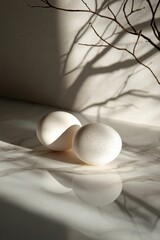 Aufkleber - Two eggs rest on a shiny surface, bathed in sunlight filtering through a bare branch's shadow