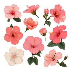 Poster - Clip art elements of hibiscus flower separate elements, retro feel, flat vector simple white background