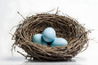 © Ahmad - Elegant Bird Nest with Three Pale Blue Eggs