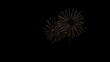 © abstract - Two elegant golden fireworks bursting with delicate sparks in the center of a pitch-black night sky, creating a beautiful and symmetrical celebratory display.