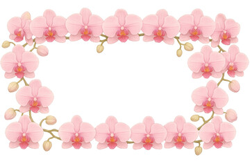 Poster - Rectangular frame made of pink orchid flowers and buds on transparent background, perfect for wedding invitations or elegant designs