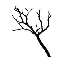 Black Silhouette Bare Tree Branch Winter Nature image