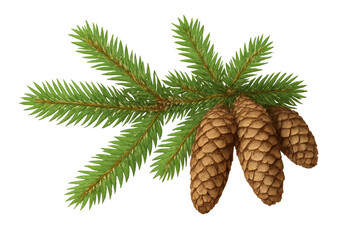 Poster - Detailed spruce branch rendering, featuring hanging pine cones, transparent backdrop suitable for seasonal design compositions