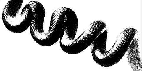 Poster - Coiled serpent in high contrast black and white abstract art