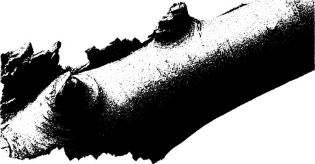 Poster - High contrast black and white cork bark fragment for nature and design concepts