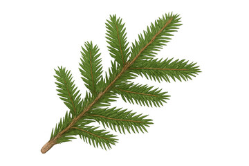 Poster - Realistic illustration of a fir branch with green needles, isolated on a transparent background, perfect for christmas or nature-themed projects