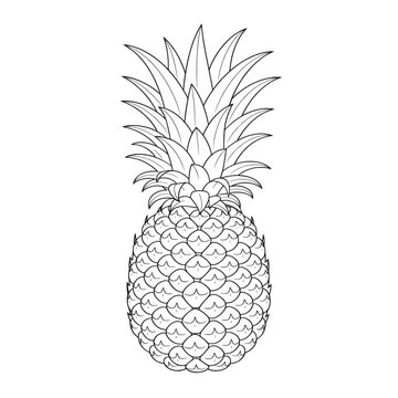 A black and white pineapple illustration line art of a coloring page