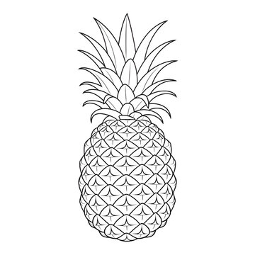 A black and white pineapple illustration line art of a coloring page