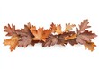 © Johaness - Autumn leaves border isolated on a white background