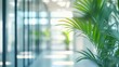 © Khalid - Modern corporate office interior with glass walls and green indoor plants, blurred background of business center hallway or contemporary bank environment with natural light