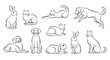 © Pemburu - Black Line Art Illustrations of Various Pets