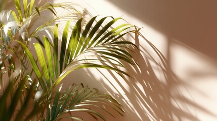 Poster - Sunlight casting shadows on green palm leaves in a cozy indoor space at midday