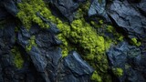 Dark rocks with vibrant green moss