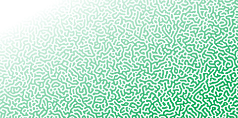 Poster - Abstract Reaction-diffusion Turing pattern natural texture green and white gradient color scheme. Linear design with biological algorithm psychedelic background. Reaction-diffusion or truing patter