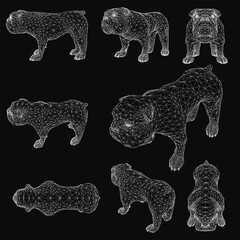 Fototapete - Wireframe bulldog composed of geometric shapes and lines, creating a detailed and stylized design on a sleek black background. The abstract canine features various polygon sizes, giving it a modern.