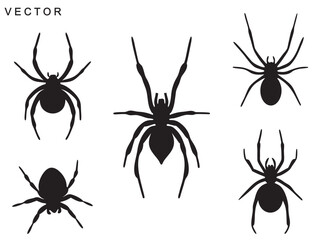 spider silhouette, spider logo icon vector illustration on a white background