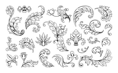 Poster - Flourish ornaments set. Filigree pattern frame, Victorian flower border with ornate floral elements. Decorative swirls. Isolated wedding design botanical calligraphic. Vector baroque motif