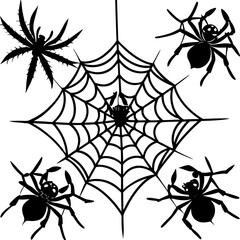 spider and web